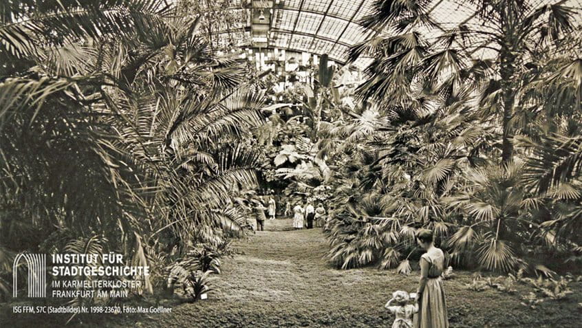 Das Palmenhaus im Palmengarten 1960, Foto: Max Goellner