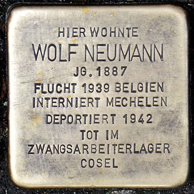Neumann Wolf