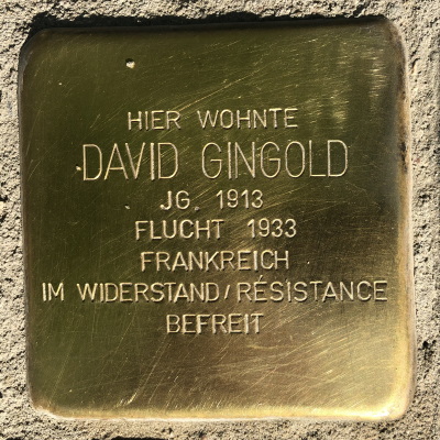 Stolperstein Breite Gasse 23, Gingold, David