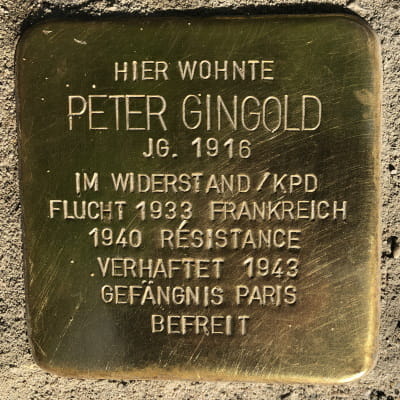 Stolperstein Breite Gasse 23, Gingold, Peter