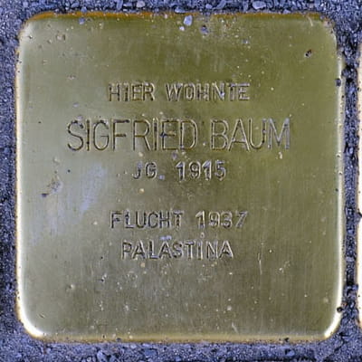Stolperstein Herderstraße 4, Baum, Sigfried