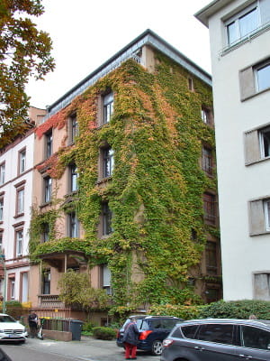 Gebäude Wiesenau 18  