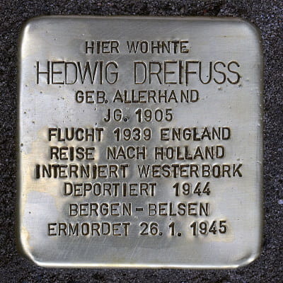 Stolperstein Eschersheimer Landstraße 69, Hedwig Dreifuss