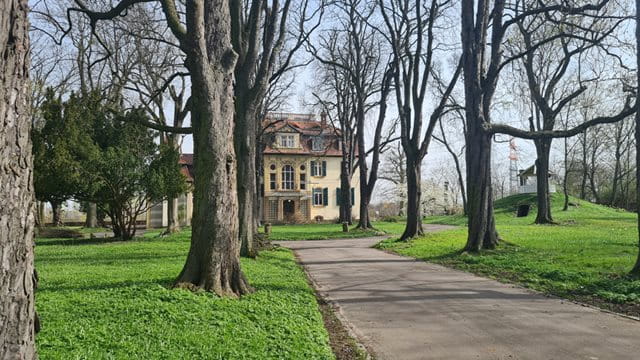 Villa Meister mit Allee, Foto: Jasmin Raykowski