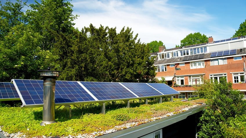 Solarpanels und Begrünung auf dem Dach