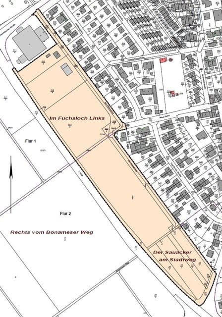 62_B_Westrand_Nieder-Erlenbach_-_Alter_Bestand