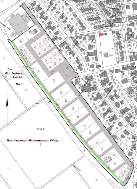 62_B_Westrand_Nieder-Erlenbach_-_Neuer_Bestand