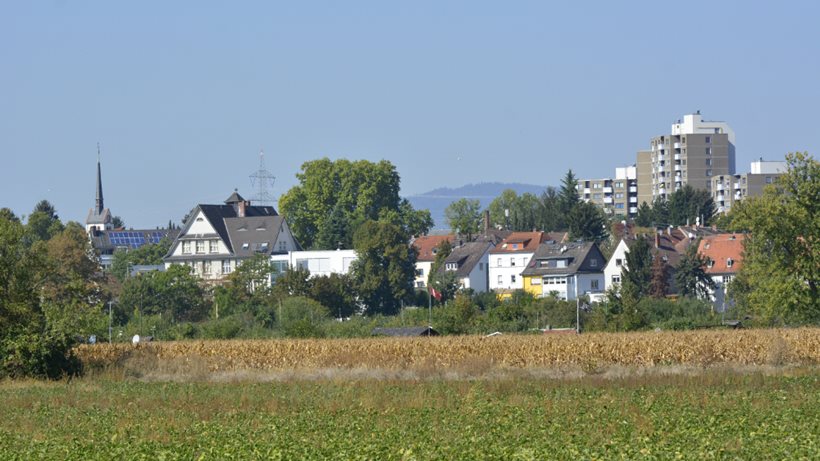 Blick vom Sossenheimer Unterfeld auf den Stadtteil