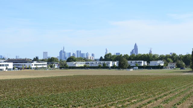 Untersuchungsgebiet des neuen Stadtteils im Nordwesten: Blick von Norden auf die Frankfurter Skyline 