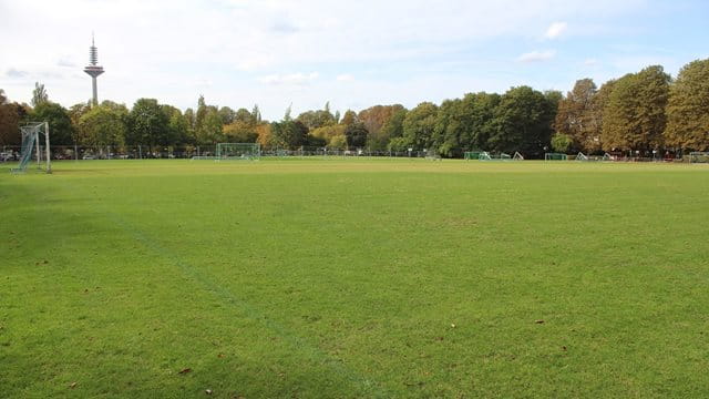 Sportanlage Bertramswiese, Rasen