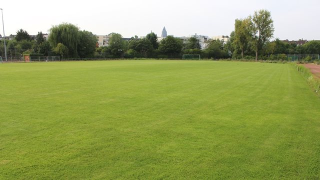 Sportanlage Bockenheim, Rasen