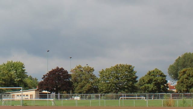 Sportanlage Dornbusch, Rasen