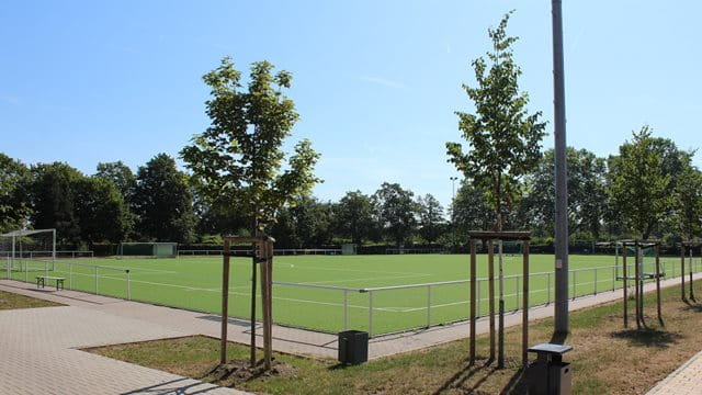 Sportanlage Höchst Kunstrasen Sportanlage Höchst, Kunstrasen