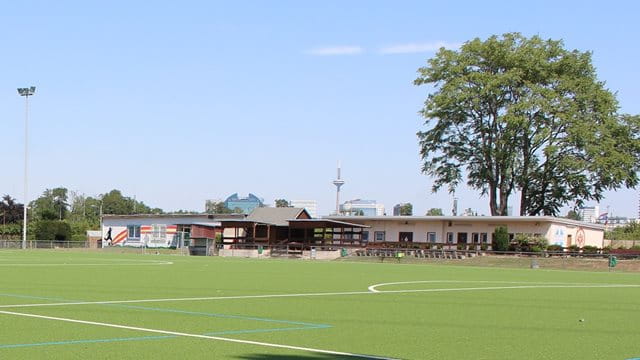 Sportanlage Mainzer Landstraße, Kunstrasen