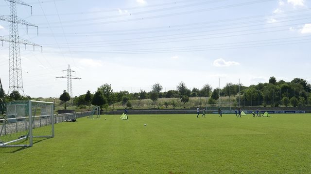 Sportanlage Riedberg, Rasen