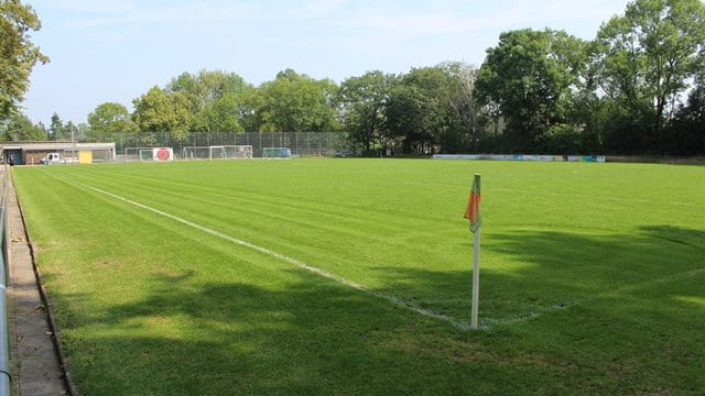 Sportanlage Rödelheim, Rasen