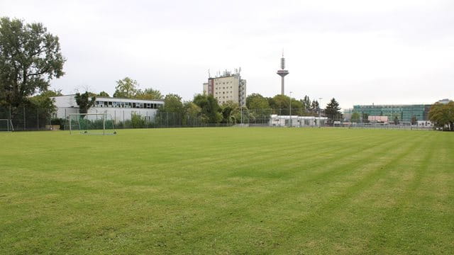 Sportanlage Rosegger Dornbusch, Rasen