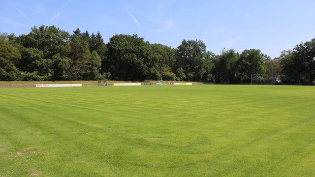 Sportanlage Schwanheim, Rasen