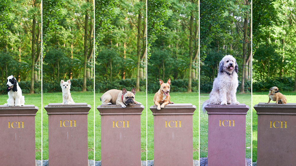 Ich-Denkmal mit Hunden
