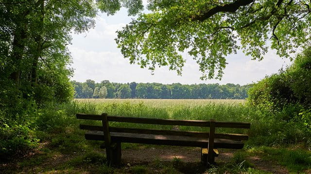 Ausblick in die Landschaft der Schwanheimer Wiesen