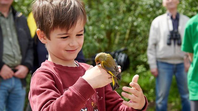 Ein Junge mit einem Vogel auf der Hand Ein Junge mit einem Vogel auf der Hand