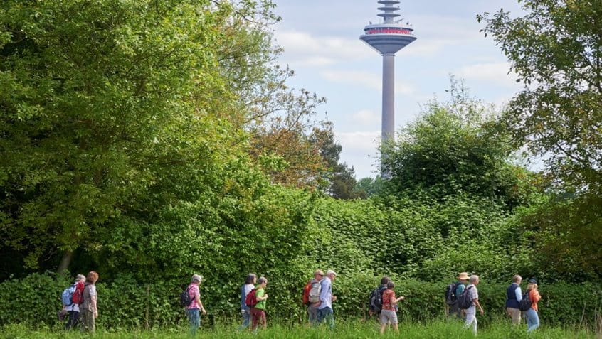 Spaziergänger