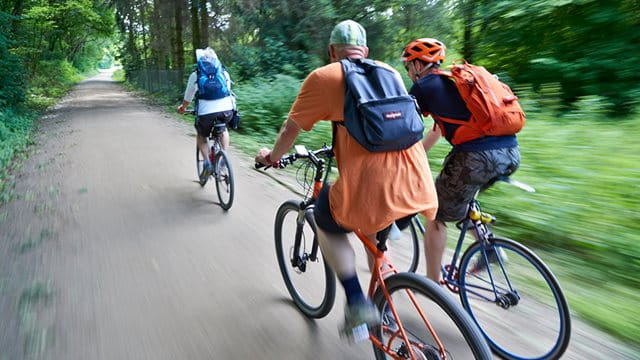 Eine Gruppe von Radfahrern fährt durch den Wald