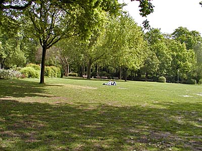 Liegewiese im Adolph-von-Holzhausen-Park