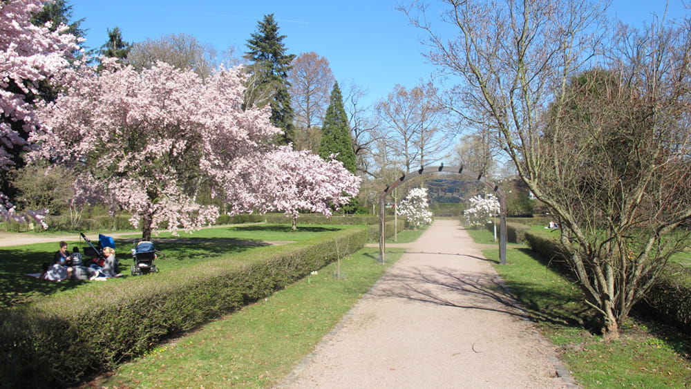 Bürgergarten Ostpark
