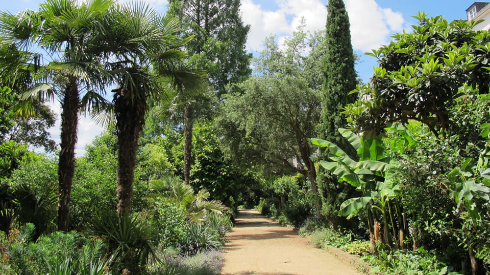 Mediterrane Pflanzen im Nizza