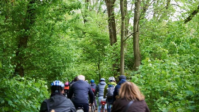 Radfahrer im Stadtwald