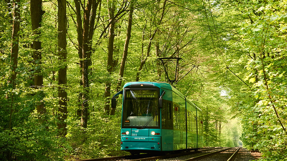 Straßenbahn im Stadtwald