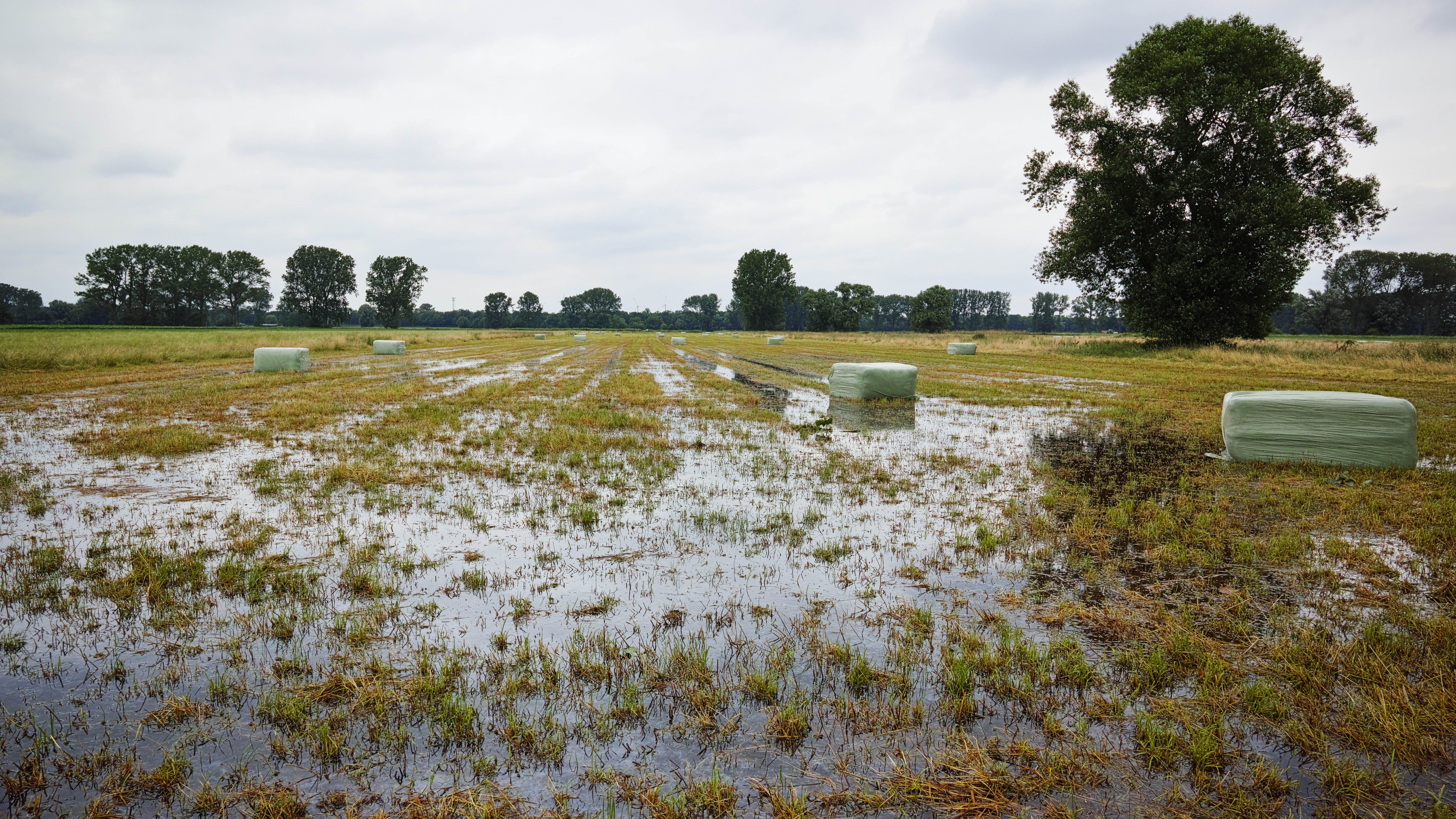 Hochwasser in der Landwirtschaft