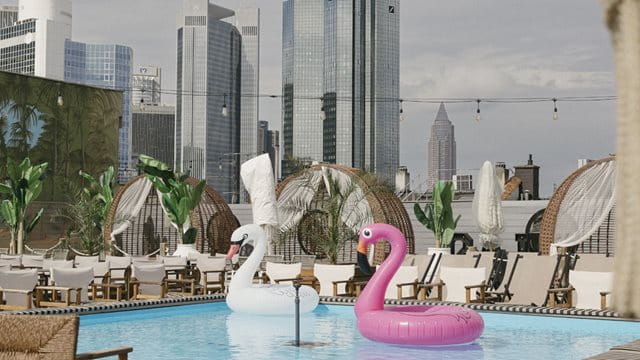 Pool der Rooftop-Bar GAIA, der ältesten in Frankfurt Ein aufblasbarer Schwan-Schwimmring und ein aufblasbarer Flamingo Schwimmring schwimmen im einer Rooftop-Bar in Frankfurt, Foto: ChrisChristes