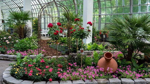 Die Rosenschau in der Galerie am Palmenhaus Die Rosenschau in der Galerie am Palmenhaus