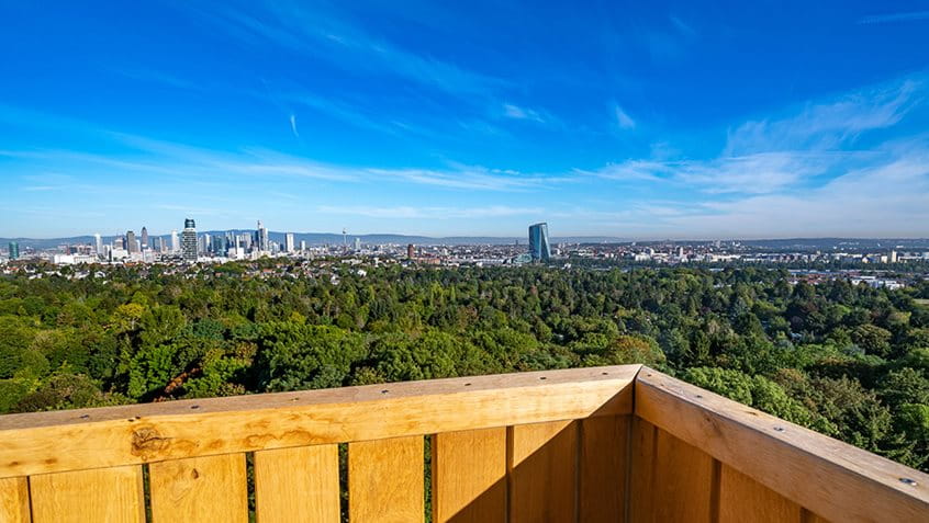 Skyline-Blick vom Goetheturm in Sachsenhausen, Eckhard Krumpholz