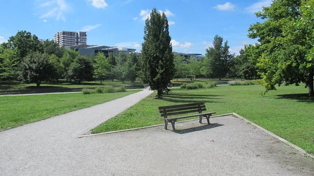 Sitzbank im Rebstockpark
