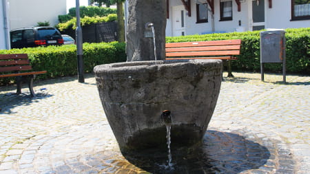 Nieder-Erlenbach Brunnen mit historischem Taufbecken