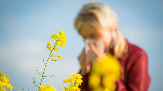 Frau auf einem Feld putzt sich die Nase, sie leidet an einer Allergie