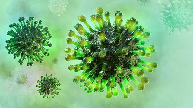 Corona-Virus Corona-Virus