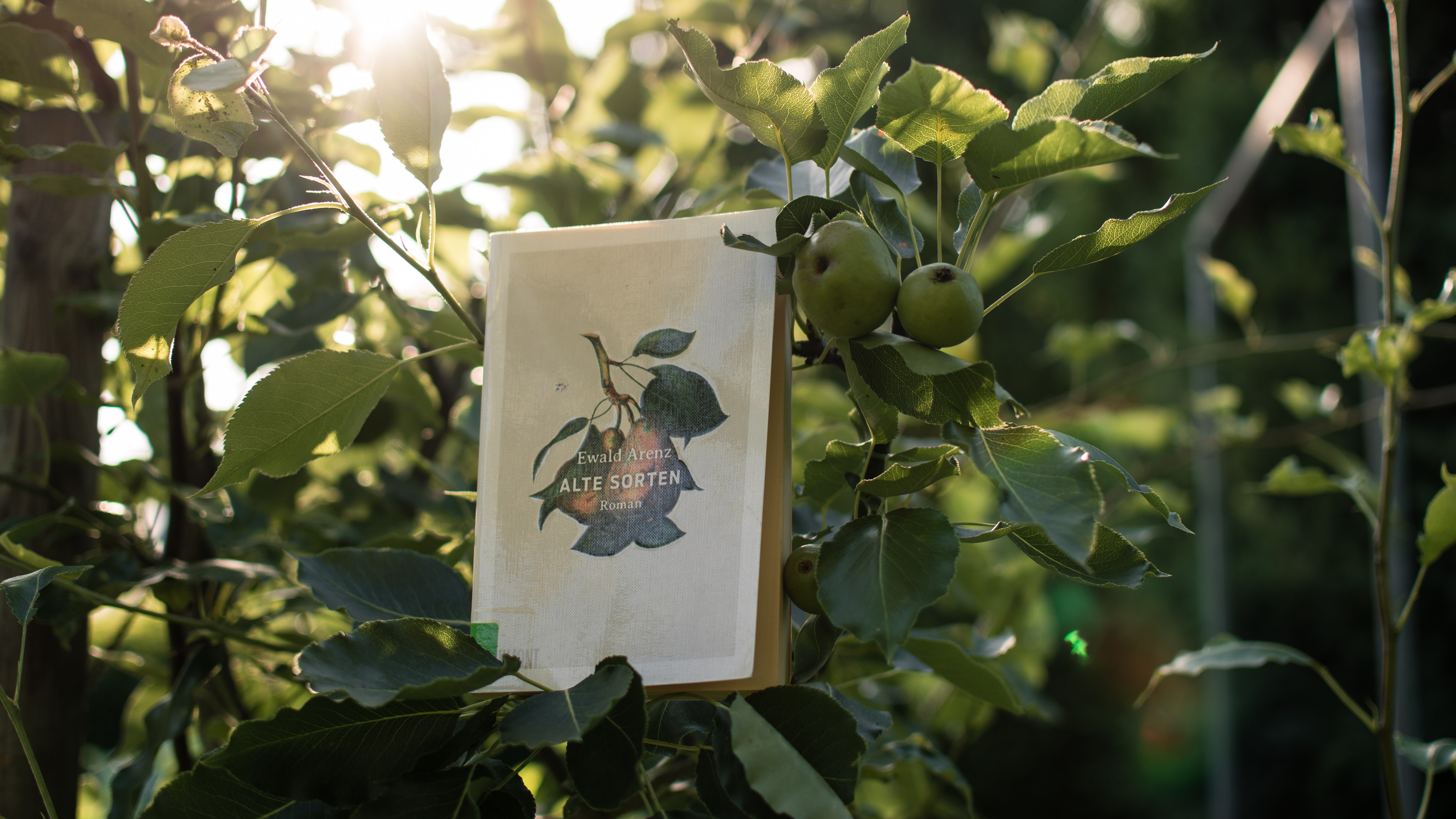 Buch "Alte Sorten" in einem Apfelbaum.