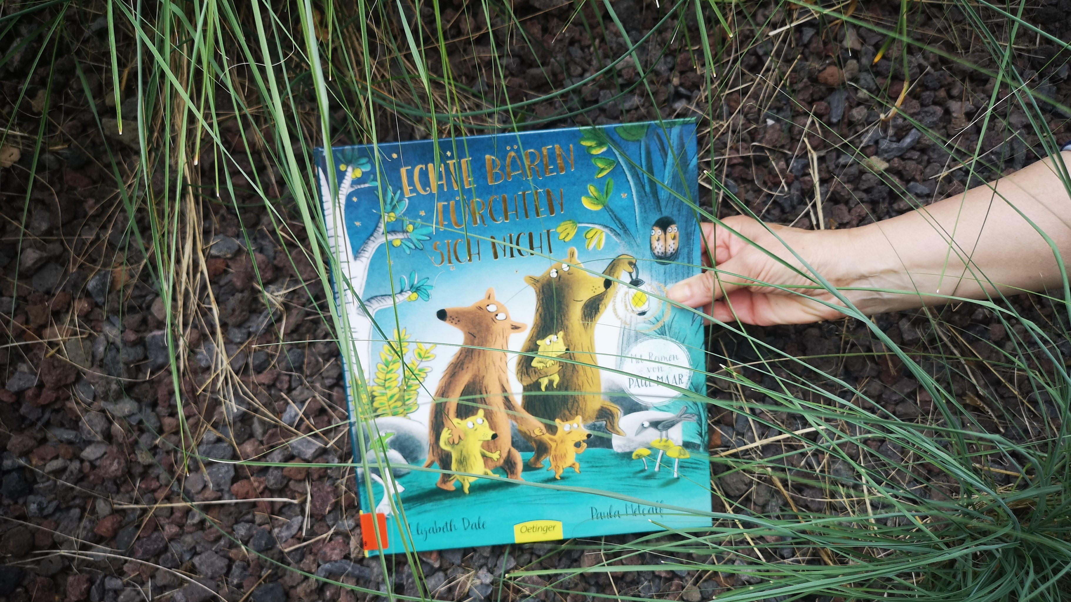 Buchcover "Echte Bären fürchten sich nicht" von Elisabeth Dale und Paula Metcalf 