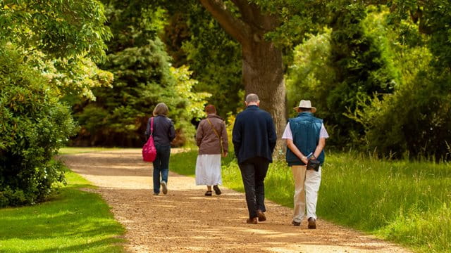 Auf literarischer Wanderschaft Vier Personen gehen auf einem Weg in Richtung Wald