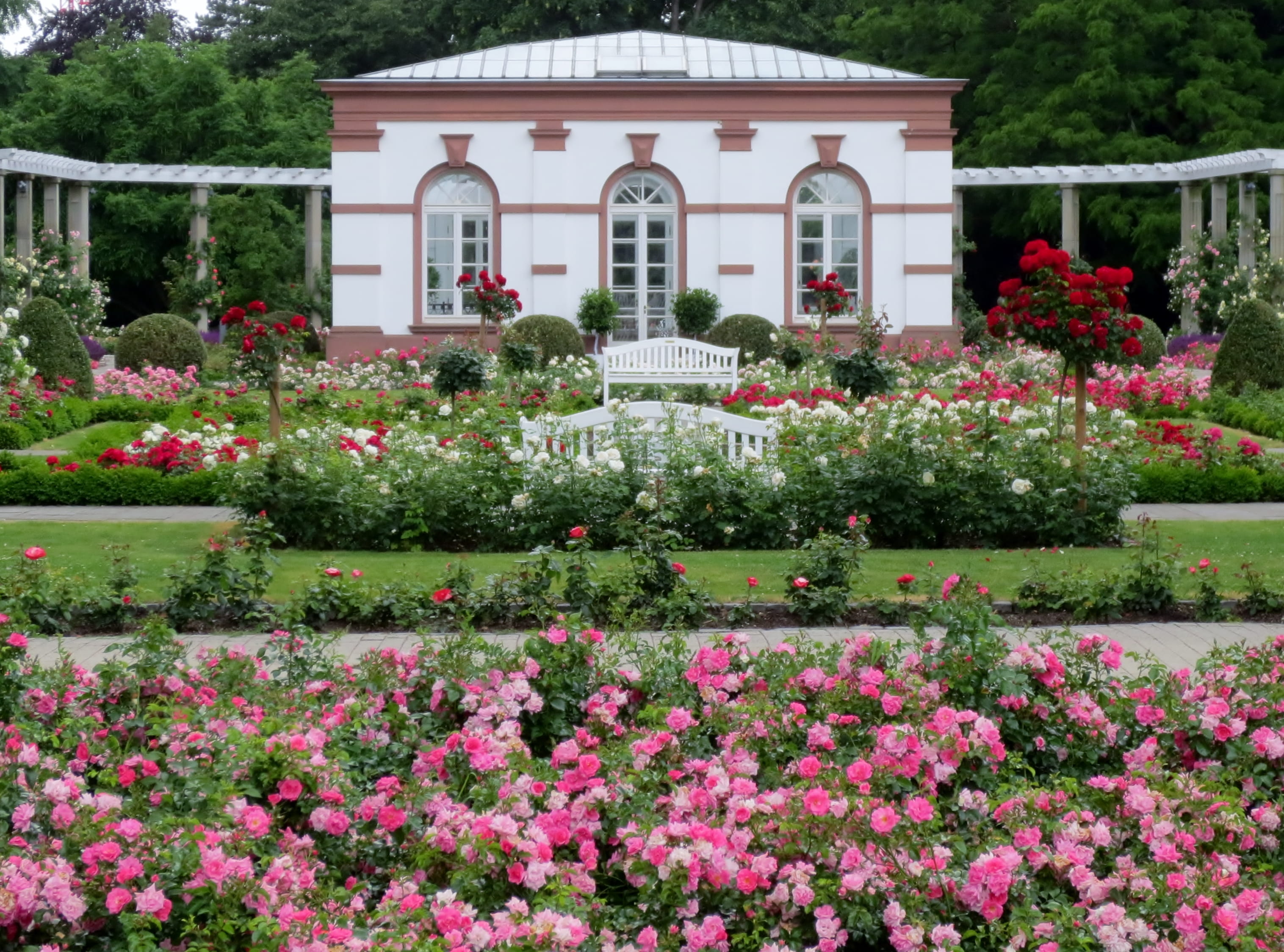 Nahaufnahme Haus Rosenbrunn mit ueppig bluehenden pinkfarbenen Rosen im Vordergrund