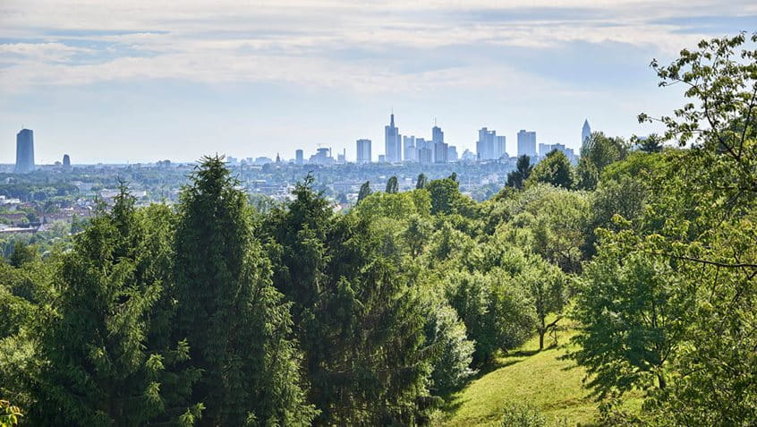 View of the skyline from the Berger Südhang, Photo: Stefan Cop
