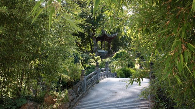 A place to cool down: the Chinese Garden in Frankfurt