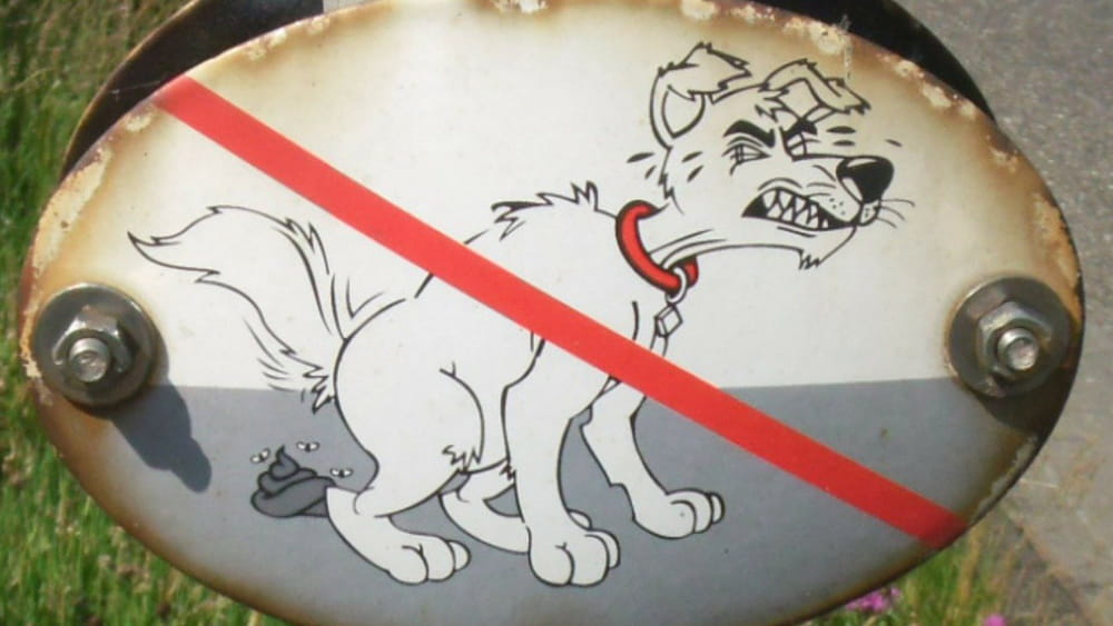Hunde-Verbots-Schild